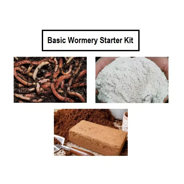 Basic Wormery Starter Kit showing Tiger worms, lime mix and coir bedding