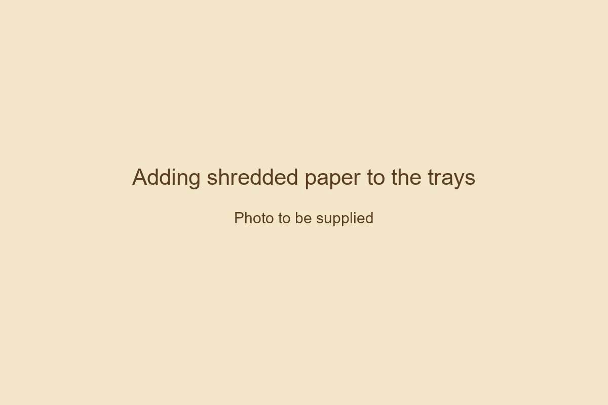 Placeholder for the forthcoming shredded-paper photograph.